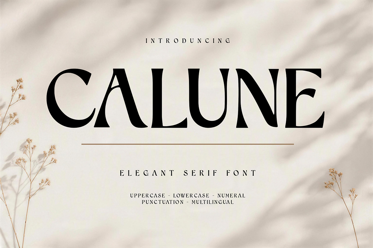 CALUNE, a Serif Font by Pitchlook.Studio (Photo 1 of 5)