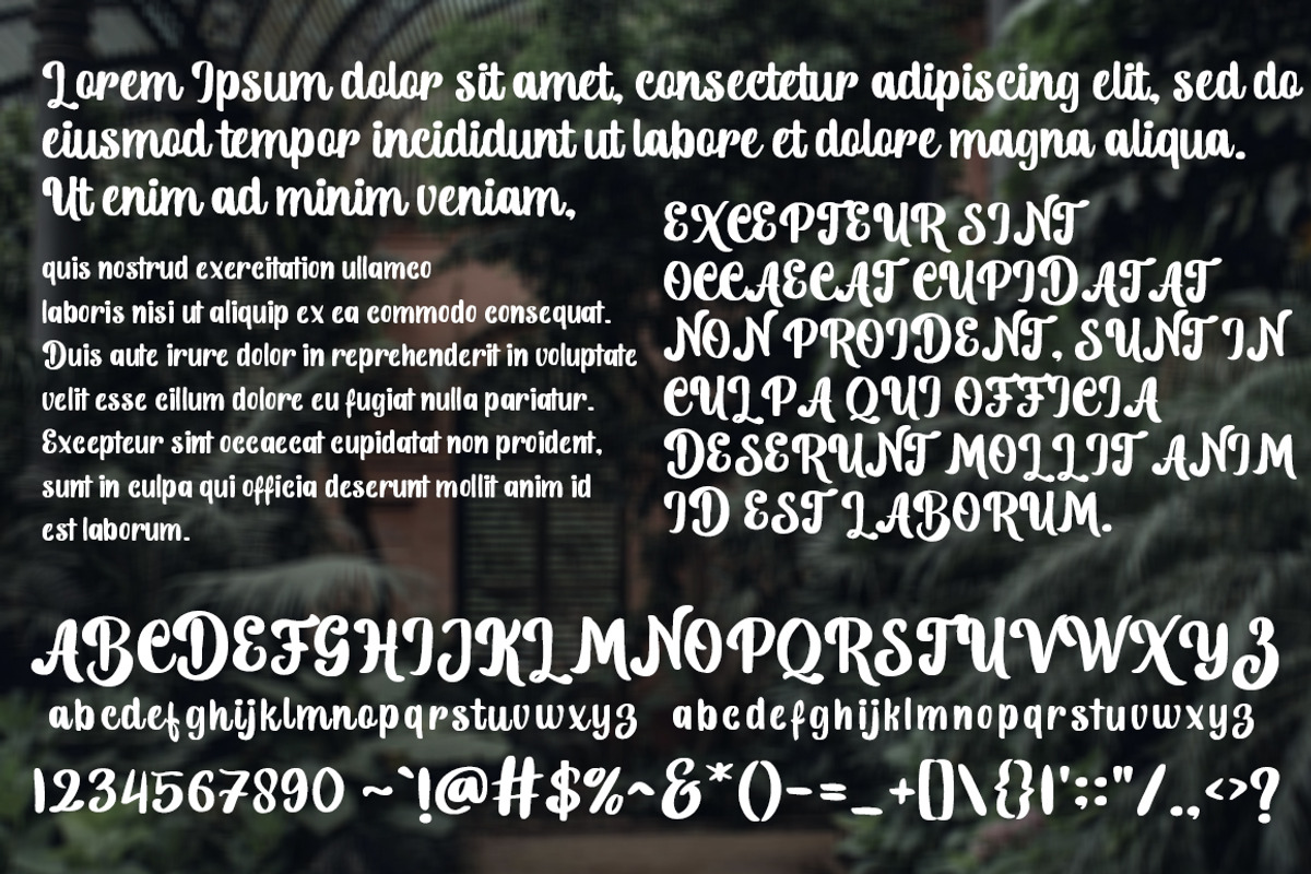 Hello Richers, a Font by Struggle Studio (Photo 4 of 7)