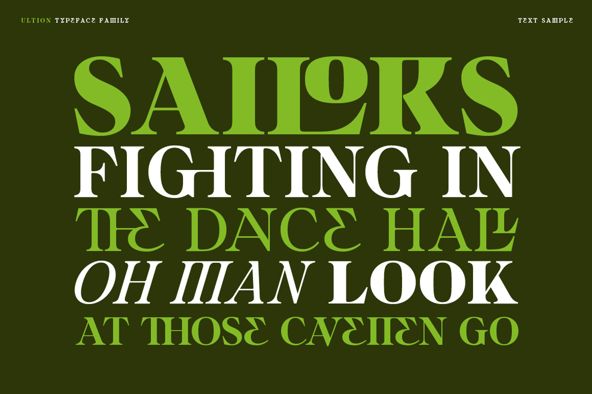 Ultion, a Serif Font by Typogama (Photo 11 of 16)