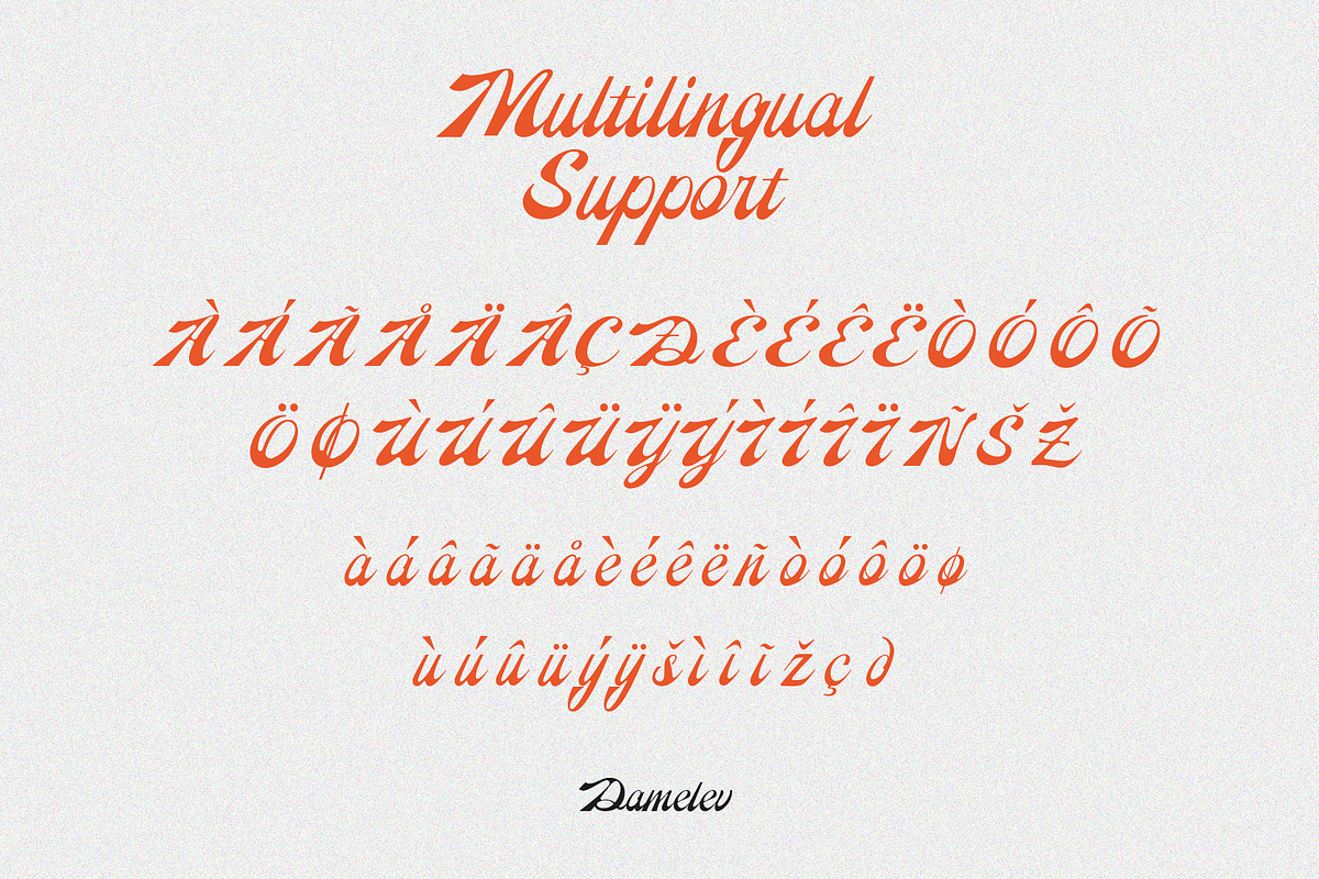 Reinhart Script, a Script Font by Damelev (Photo 9 of 9)
