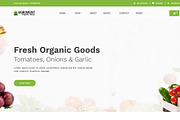 Agroment Organic Food HTML Template, a HTML Template by techboot (Thumbnail 7 of 8)