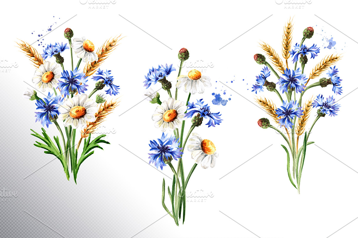 Summer flowers, a Decorative Illustration by Daria Ustiugova (Photo 3 of 10)