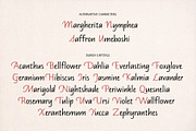 Mandys - Formal Handwritten Typeface, a Handwritten Font by ManuelRosin (Thumbnail 13 of 13)