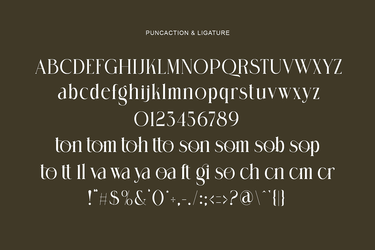 Dinamic Elegant Serif Typeface, a Serif Font by Alfinart (Photo 8 of 8)
