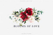 Watercolor Burgundy Blush Flowers, a Decorative Illustration by Patishop Art (Thumbnail 2 of 8)