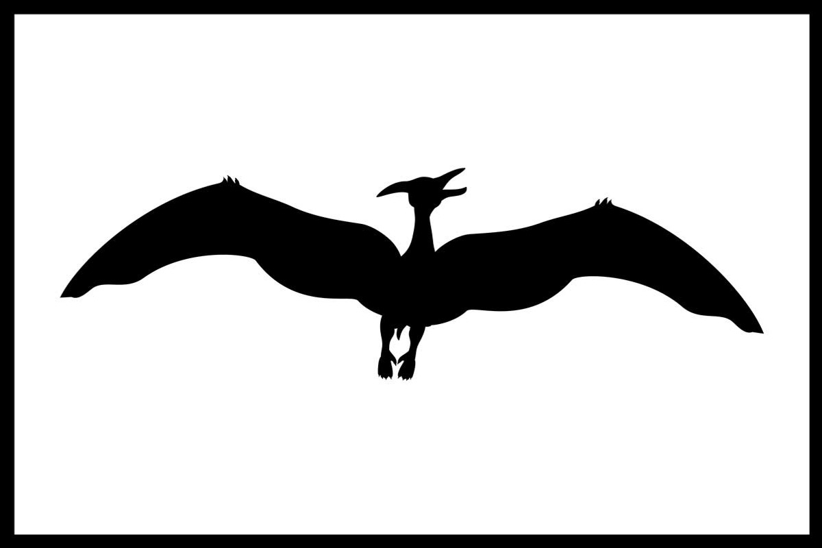 Set 30 silhouettes animals dinosaurs, an Icon by kozyrevaelena (Photo 3 of 5)