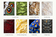 70 Minimalist Texture | Stock Images, a Nature Photo by Vermeulen Design Studio (Thumbnail 4 of 5)