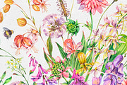 Watercolor meadow herbs&flowers, an Illustration by Depiano (Thumbnail 9 of 19)