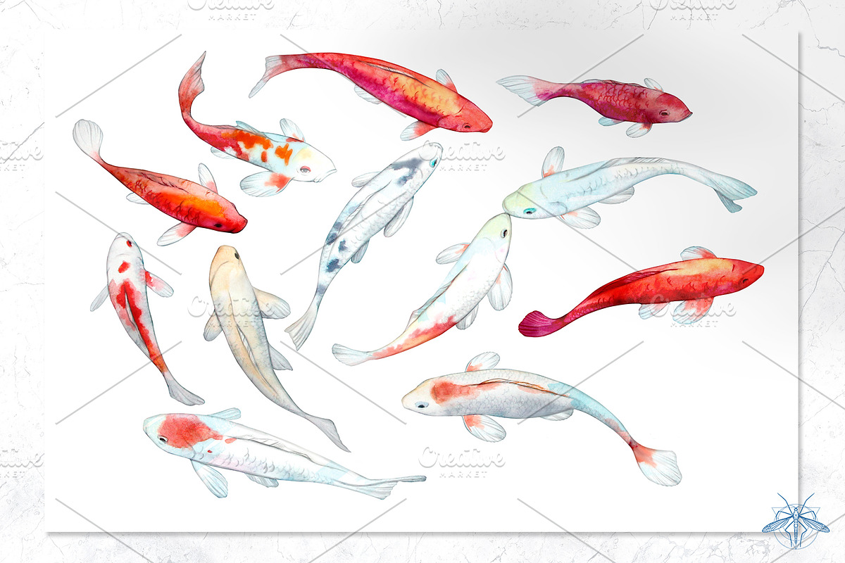 Lily Pond | Watercolor Koi Fish set, a Pattern Graphic by Tanya Vollar (Photo 8 of 10)
