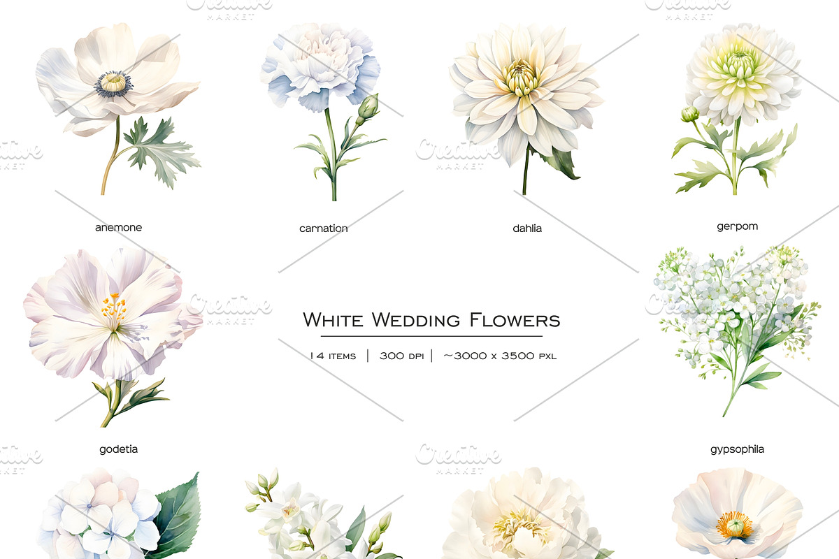 Watercolor white wedding flowers set, an Object Illustration by Art and Funny (Photo 2 of 3)