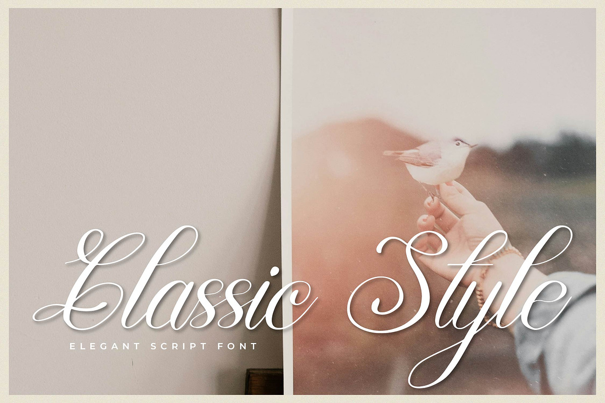 Mewskia | Modern Calligraphy Font, a Script Font by gracetype_studio (Photo 4 of 14)