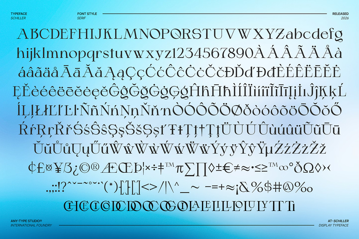 Schiller - Contemporary Serif, a Serif Font by Any-Type® Foundry (Photo 13 of 13)