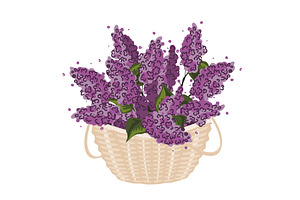 Bunch of lilac brunches in a basket, an Object Illustration by Toltemara