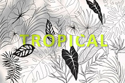 Tropical collection, a Decorative Illustration by Merfin (Thumbnail 1 of 10)