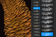 Plumage Atelier. Procreate Brushes, a Brush Add-On by Eldar Zakirov's (Thumbnail 17 of 25)