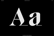 BN Killwit, a Serif Font by Bnick (Thumbnail 5 of 13)
