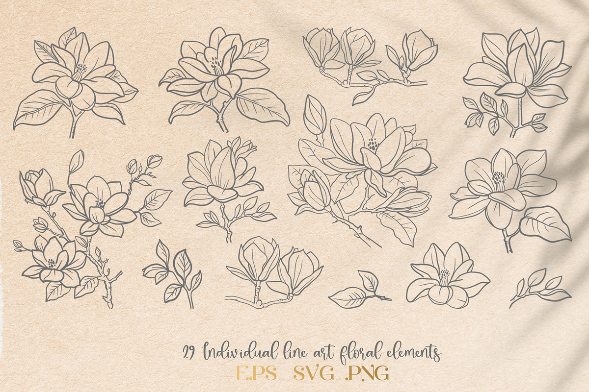 Мagnolia garden. Floral Line Art, a Decorative Illustration by KlavaProDesign (Photo 2 of 7)
