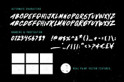 True Brush Font, a Script Font by Visual Blends (Thumbnail 6 of 6)
