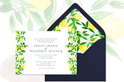 Juicy Watercolor Lemon Set, an Illustration by One and Only Paper (Thumbnail 5 of 9)