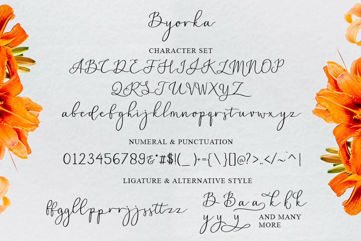 Blasty Script preview 5