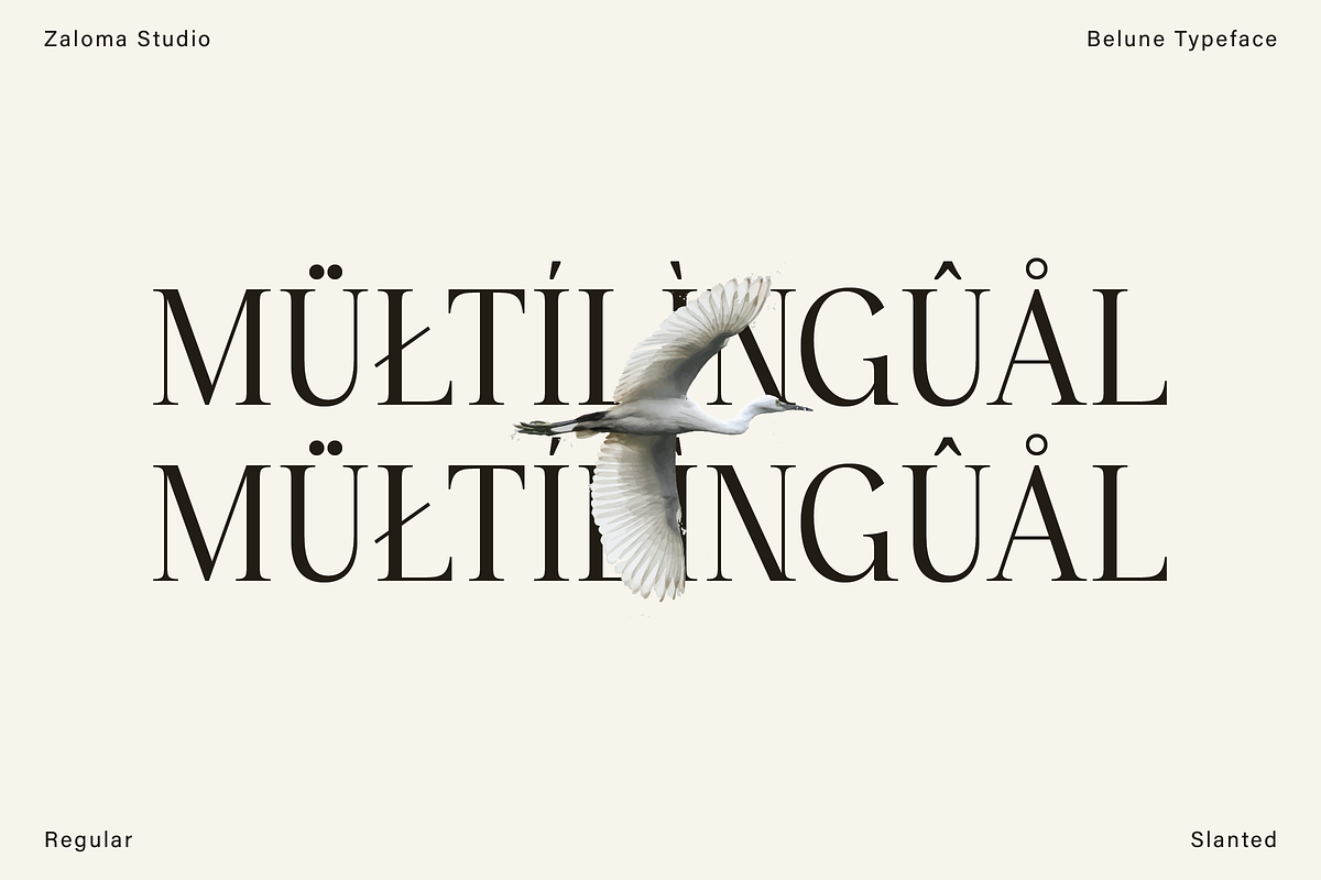 Belune, a Serif Font by Zaloma Studio (Photo 11 of 16)