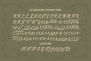 Maison Lovyelle, a Handwritten Font by Abbasy Studio (Thumbnail 5 of 11)