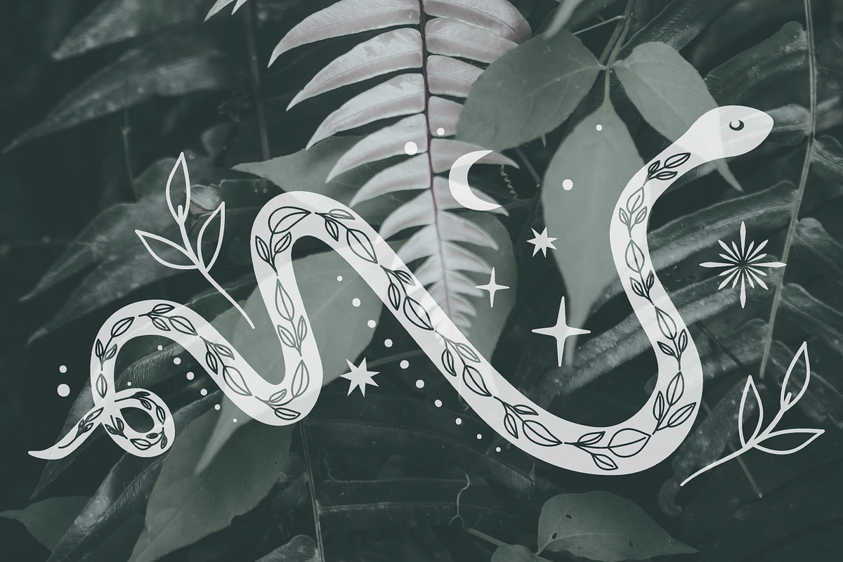 Celestial Magic Snakes. Boho Arts., an Illustration by Naty Art (Photo 3 of 9)