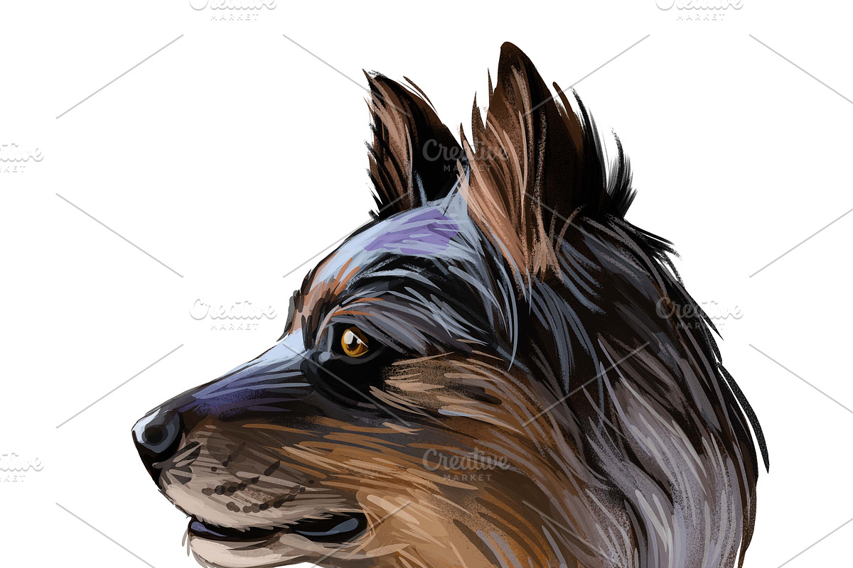Dogs Cross Breeds 56 Animals Bundle, an Animal Illustration by Dneprstock (Photo 46 of 55)