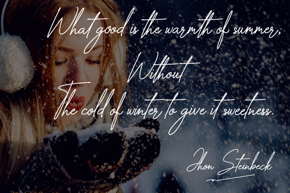 The Wallstreet - Signature Font, a Script Font by Almeera Std (Photo 3 of 10)