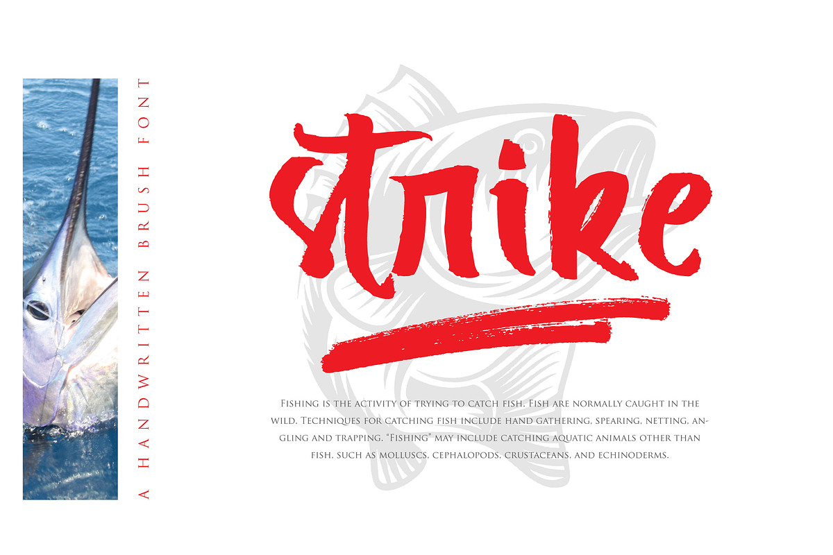 Break Types preview 4