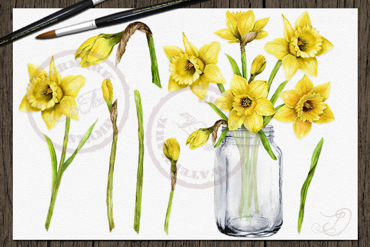 Daffodils Watercolor Clip Art, a Decorative Illustration by DioFlow (Photo 3 of 4)