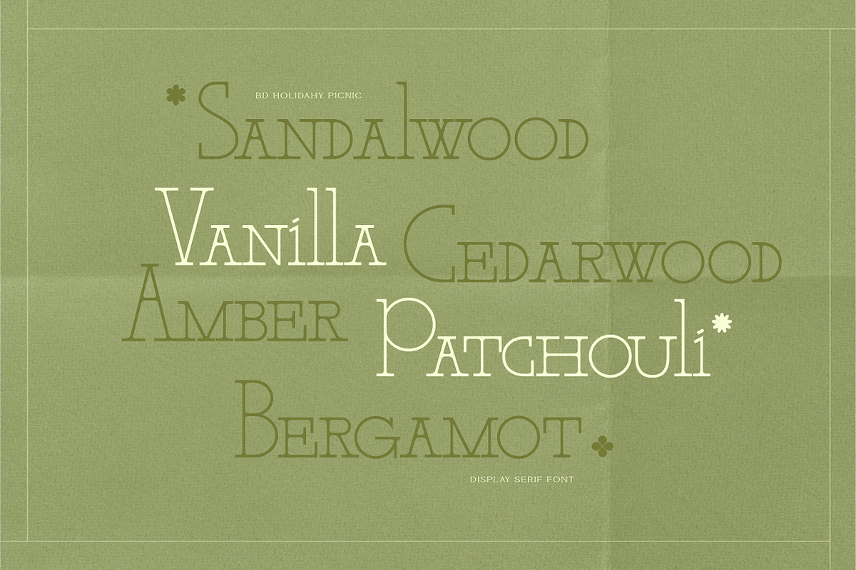 BD Holiday & Picnic, a Slab Serif Font by Brandear Design (Photo 7 of 16)