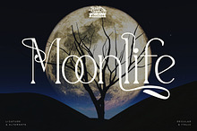 Moonlife - Serif Typeface Font