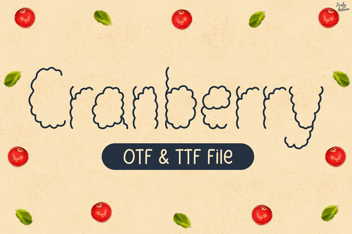 Cranberry | playful handwritten font, a Handwritten Font by LivelyAutumn11.11 (Photo 1 of 5)