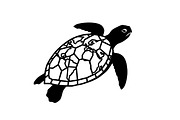 World Map Sea Turtle Bundle, an Illustration by Gaye Art (Thumbnail 24 of 31)