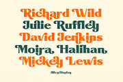 Ailey Display, a Serif Font by Graptail (Thumbnail 8 of 16)