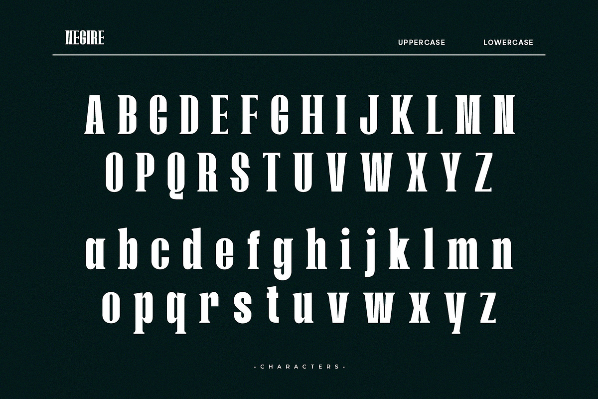 Negire, a Serif Font by Almeera Std (Photo 2 of 6)