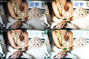 20 Wedding Dream Lightroom Presets, an Action Add-On by Olg Store (Thumbnail 3 of 8)
