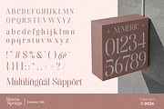 Sharon Springs, a Serif Font by Dora Typefoundry (Thumbnail 9 of 11)