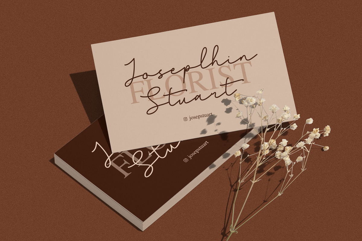 Sentinel Font, a Script Font by Haws.std (Photo 2 of 5)