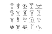 MUSHROOM - vector line icons, an Outline Icon by marusdesign (Thumbnail 2 of 2)