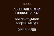 Otyetly - Elegant Sans Font, a Sans Serif Font by Iqsiart Studio (Thumbnail 10 of 12)