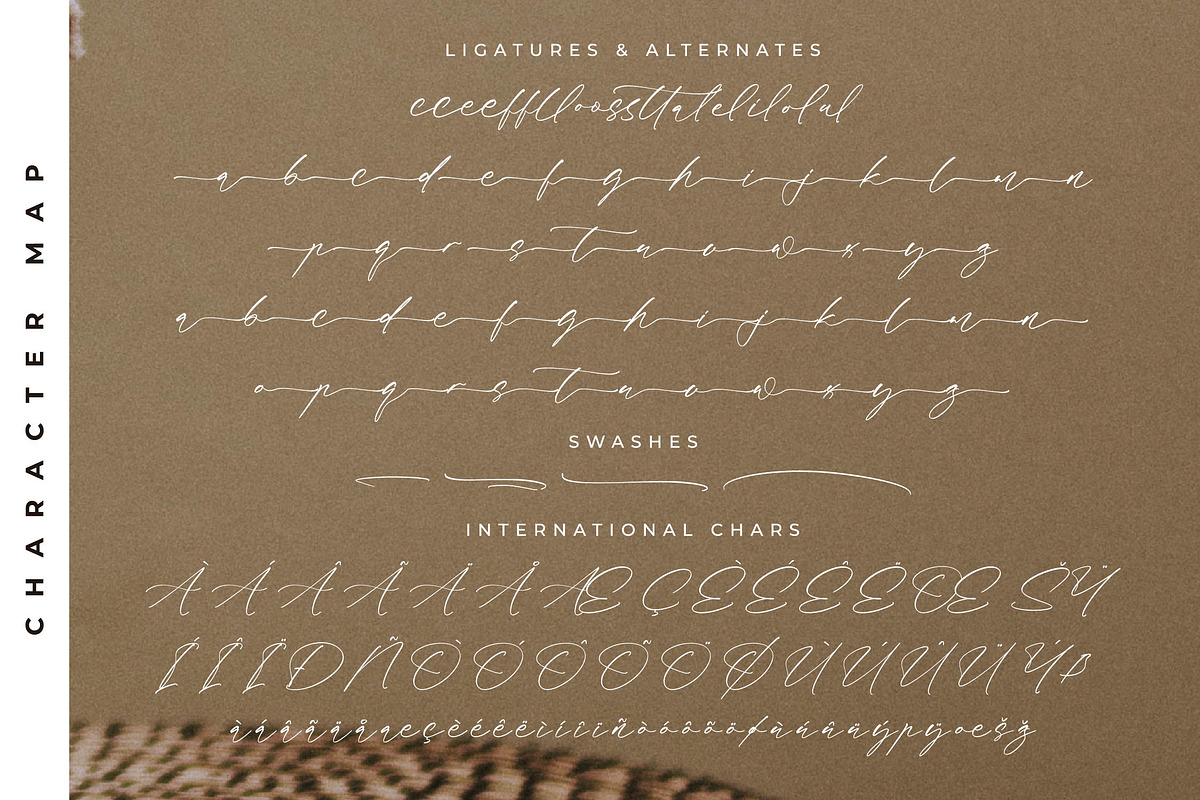 Fasttelo Engelliy Elegant Script, a Script Font by Letterena Studios Script (Photo 14 of 15)