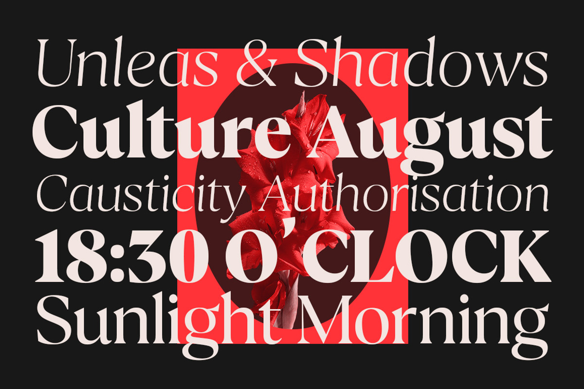 Calibra 20 Fonts | Save 40%, a Serif Font by Mulkan Nazir (Photo 13 of 17)