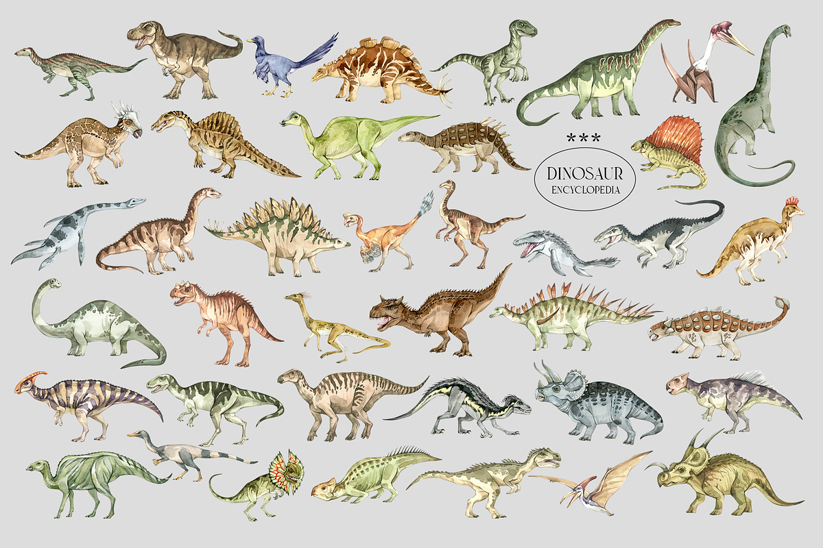 DINOSAURIA  Prehistoric encyclopedia, an Animal Illustration by Anastezia Luneva (Photo 11 of 11)