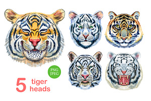 Watercolor tiger portraits, an Animal Illustration by Watercolor fantasy