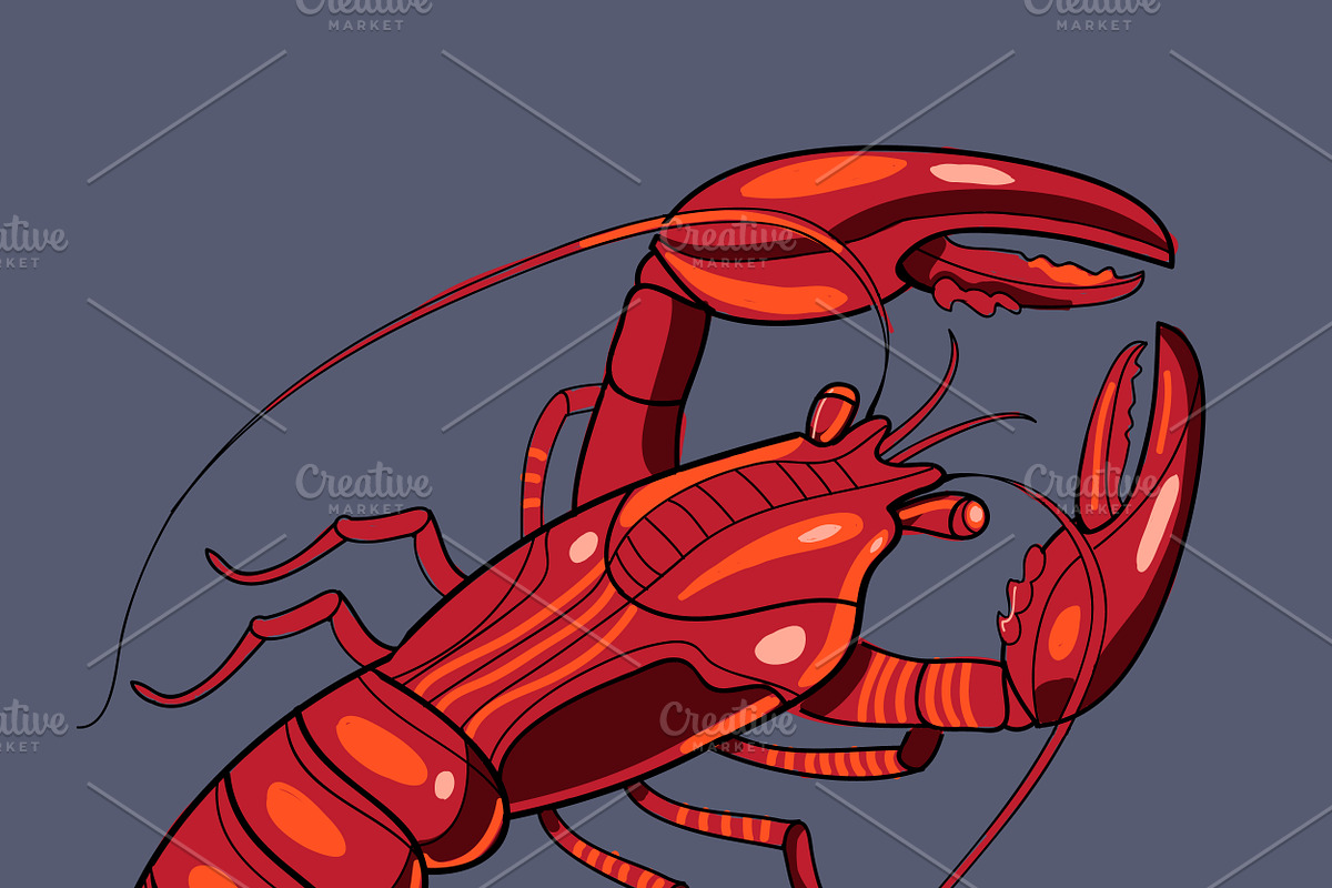 Lobster in vector, a Food Illustration by HIPSTER-MONSTER SHOP