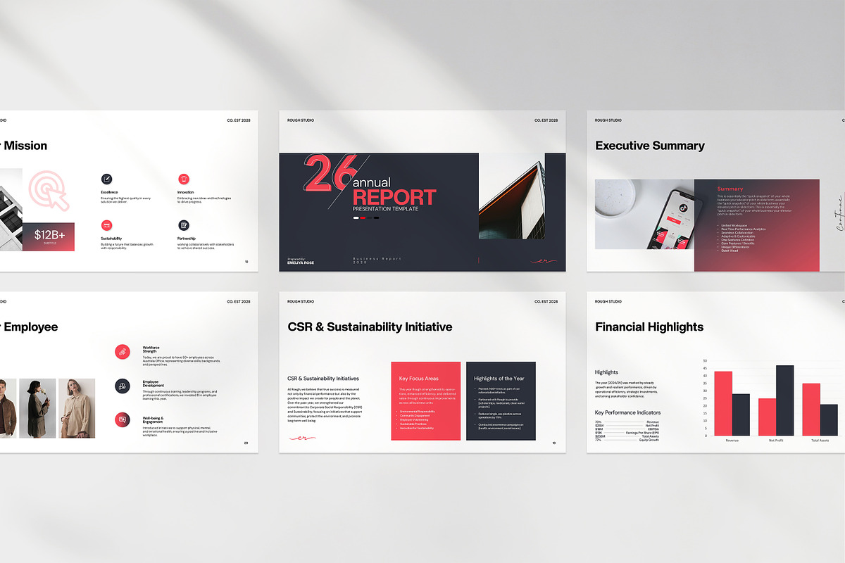 Rough Annual Report Presentation preview 8