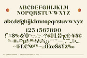 Adeline Mahila Groovy Serif Font, a Serif Font by timelesstype.co (Thumbnail 18 of 20)
