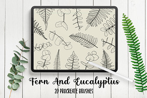 Fern And Eucalyptus Procreate Stamps